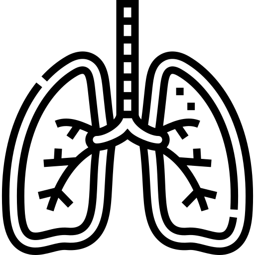 CO₂ Tolerance Workouts